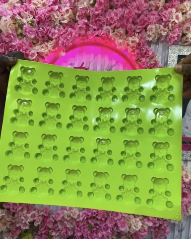 TEDDY BEAR MOLD photo 4