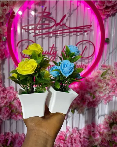 FLOWER POT photo 2